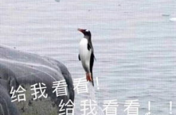娱乐吃瓜君迅猛龙唱歌,迅猛龙跨界唱歌，音乐界新势力崛起