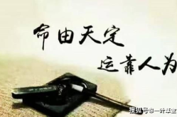 八字无官杀,命运之谜与人生启示”
