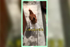 吃瓜群众的娱乐网名,揭秘吃瓜群众的娱乐网名背后的故事